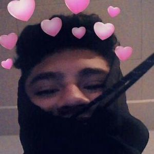 Meet your Posher, Leonardo